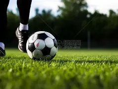 梅州客家官,员公然侮辱,裁判,耀世娱乐官网,耀世娱乐品牌,耀世娱乐精彩,耀世娱乐