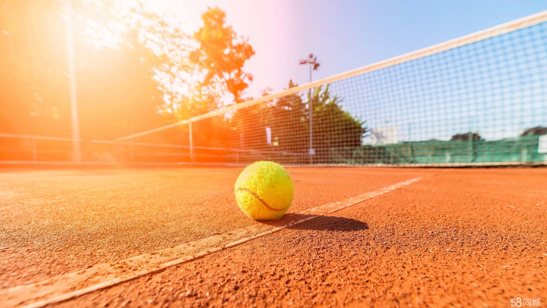 的关注度 的关注度